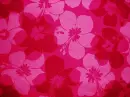 Tropical Flowers