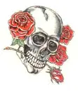 skulls rock hell yea!