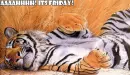 Ahhhh! It's Friday!