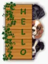 Hello 