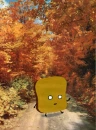 mr. toast