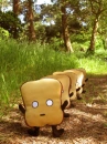 mr. toast