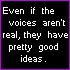 Even if the voices aren't real, they have pretty good ideas.