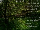23rd Psalm