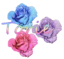 Torie