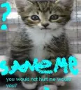 save me please stop animal cruelty