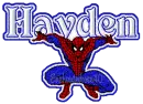 SPIDERMAN HAYDEN
