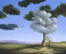 A day in the clouds