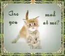 you are mad at me?