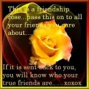 friendship