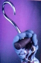horror_hook