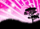 pink sunset