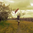 umbrella