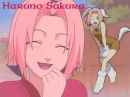 Sakura