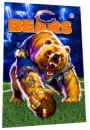 Chicago Bears