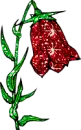 red flower