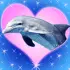 dolphin