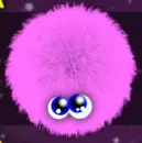 cute thing hairy