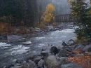 river still flowing in the winter