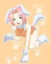 Sakura???DOG???