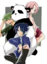 Gaara panda