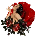 Rose beauty