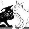 luna & artemis