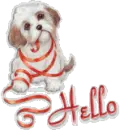 HELLO!