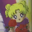 Little Bunny 