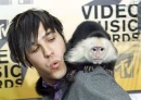 Monkey love