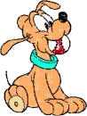 baby pluto