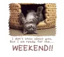 Weekend Ready