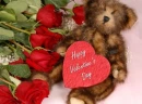 Happy Valentine's Day