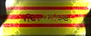 viet pride