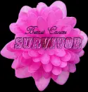 Breast Cancer Survivor