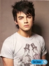 jonas brothers