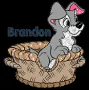 Brandon Lady and the Tramp