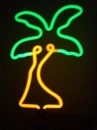 palm tree