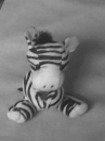 zabrid
