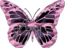 Amy