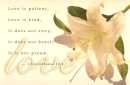 Love Is