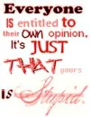 opinion
