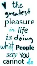 the greatest pleasure in life is..