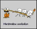 marshmallow
