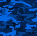 Blue Camo