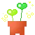 love flower