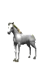 cute rearing horse