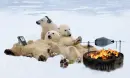 polarbear party