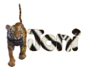 Joni