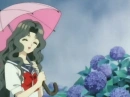 Nadeshiko